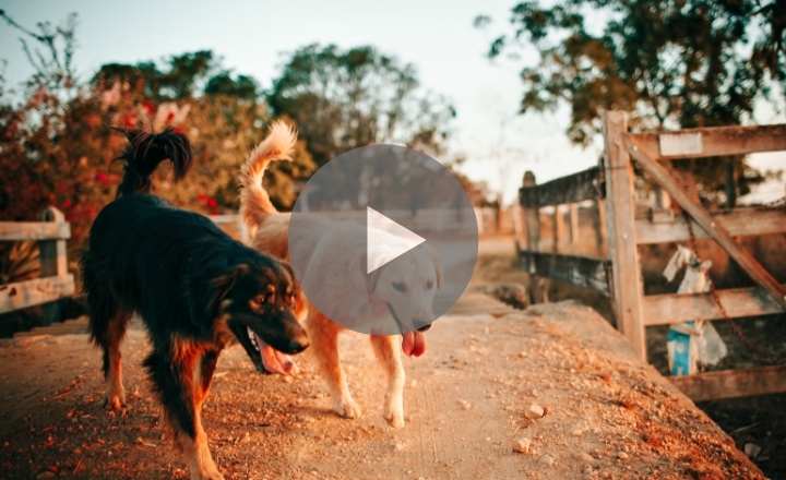 Image is not available