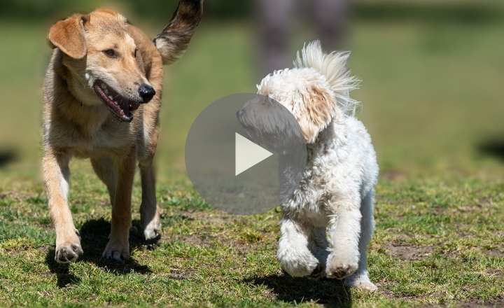 Image is not available