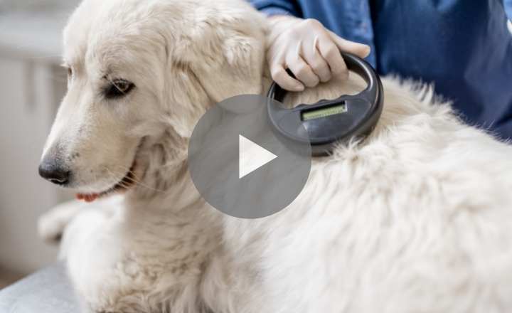 Image is not available