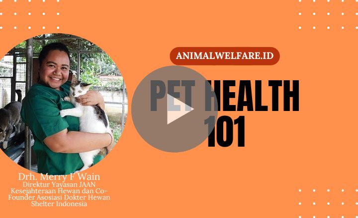 Image is not available