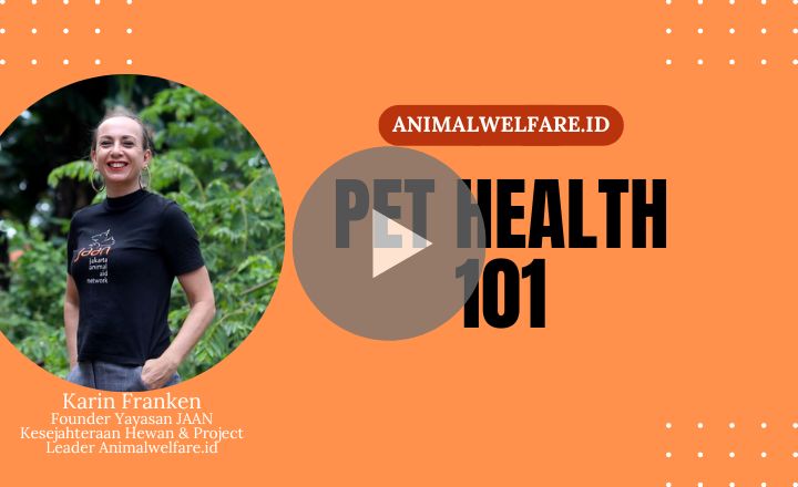 Image is not available