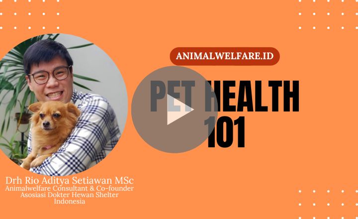 Image is not available