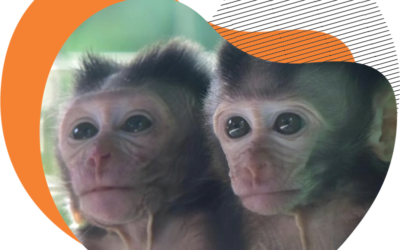 TREATMENT OF PRIMATES FOR COMMERCIAL PURPOSES SEEN FROM ANIMAL WELFARE POINT OF VIEW