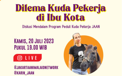 Event Dilema Kuda Pekerja di Ibu Kota