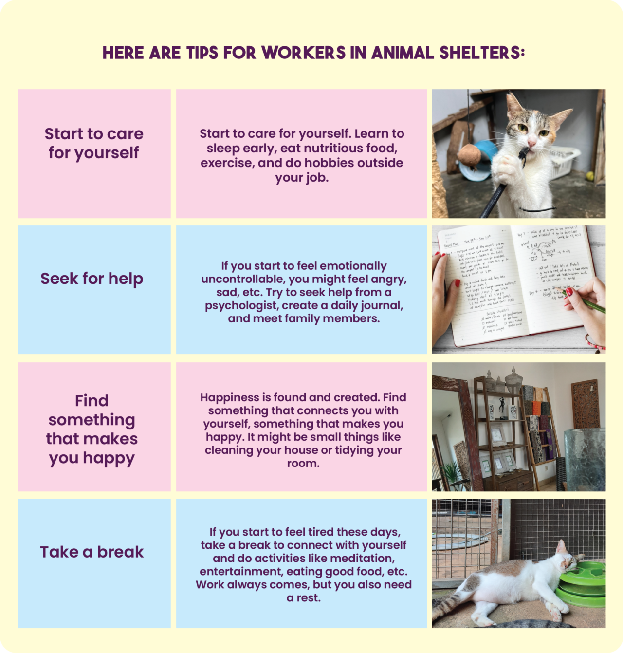 burnout-on-animal-shelter-workers-welcome