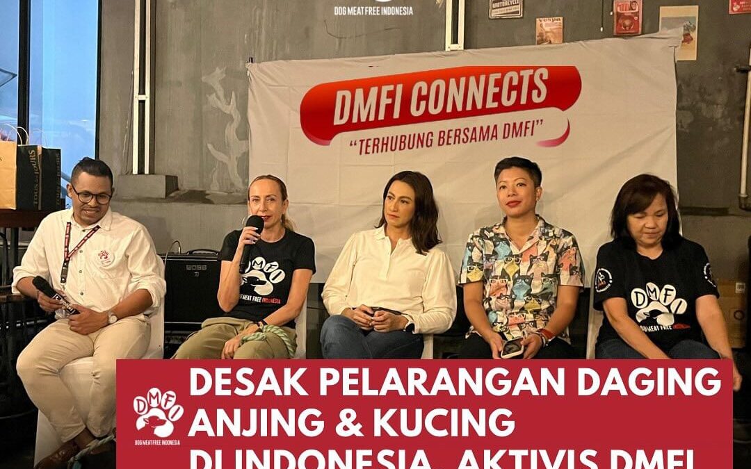 Gathering DMFI Connects 1st Batch 2024