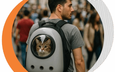 More Than Just Style: Ethical Ways to Carry Cats According to Animal Welfare Principles